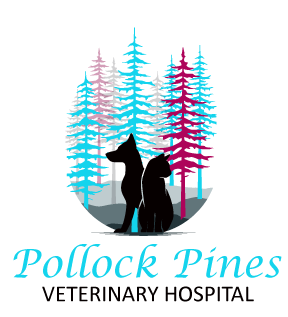 Pollock Pines Veterinary Hospital - Pollock Pines, CA