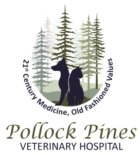 Pollock Pines Veterinary Hospital - Pollock Pines, CA